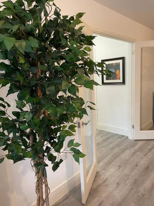 Stunning And Spacious 2Bed Flat In Central ווקינג מראה חיצוני תמונה